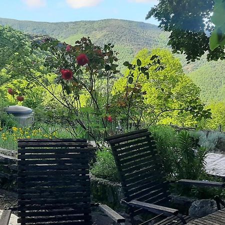 La Fleur Du Mas Villa Sablieres Eksteriør billede